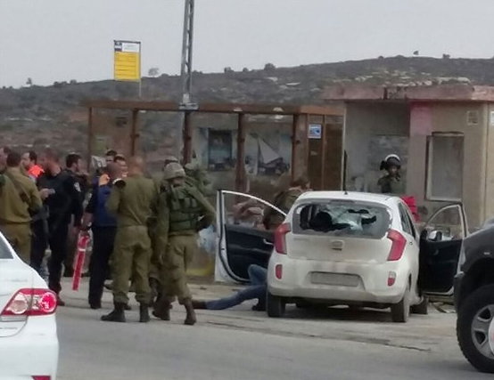 العاهرات في أوروبا: أرخصهن باليونان مقابل ساندويتش جبنة