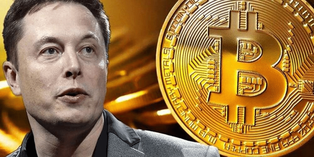 إيلون ماسك ينفي علاقته بالبيتكوين ويكشف عن من يمكن أن يكون وراءها