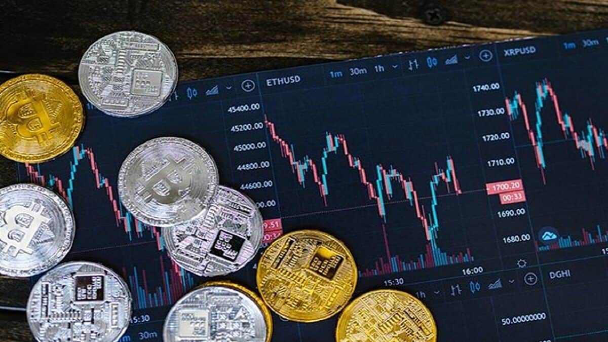 ما هي العملات المشفرة التي قد تنجو من انهيار الأسعار؟