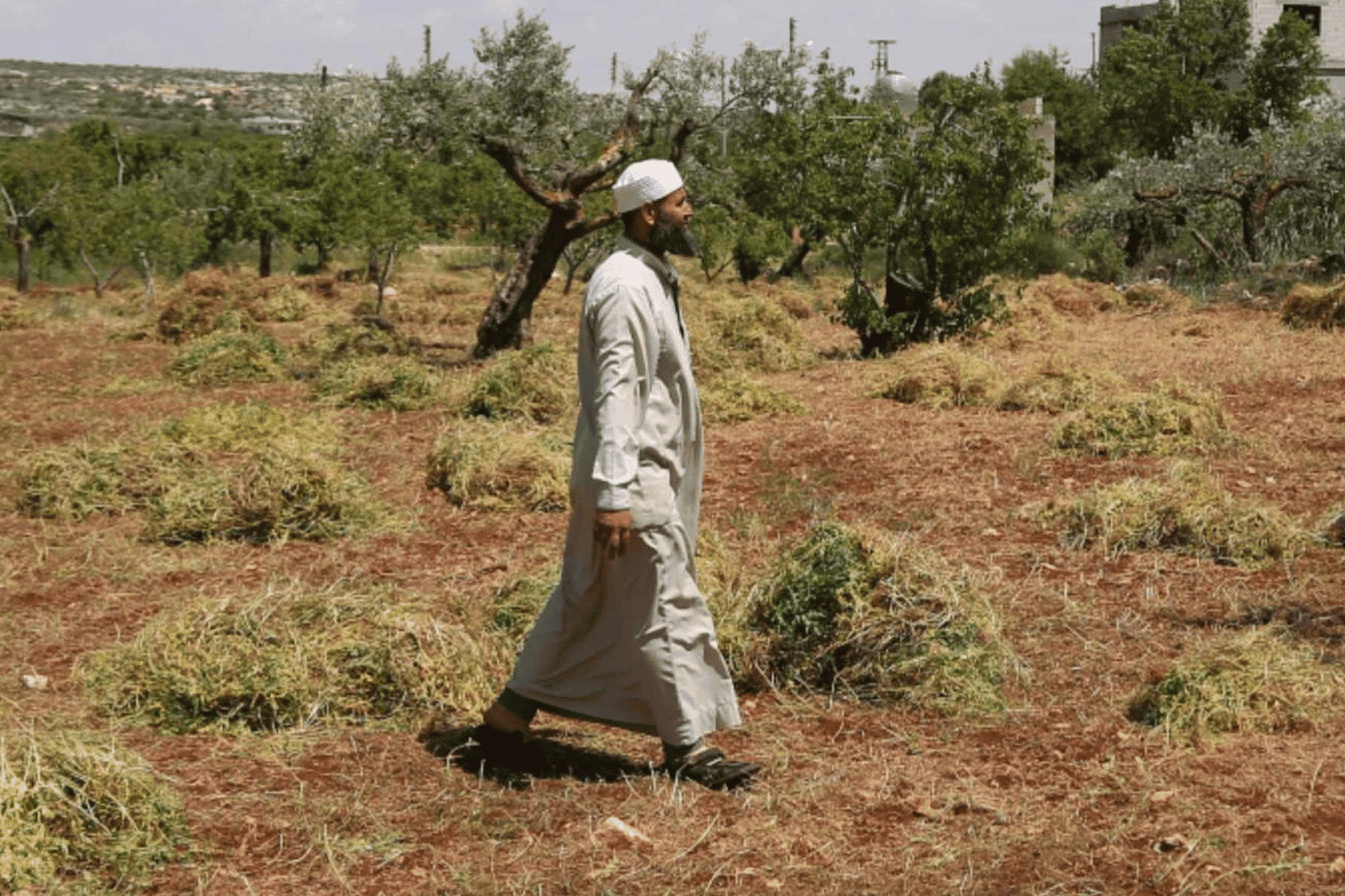 “الأرض المحروقة”.. تقرير كارثي يكشف كيف دمرت الحرب الأراضي الزراعية في سوريا؟