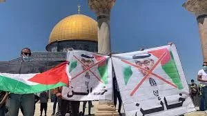 زعيم عصابة في غزة يفضح محمد بن زايد