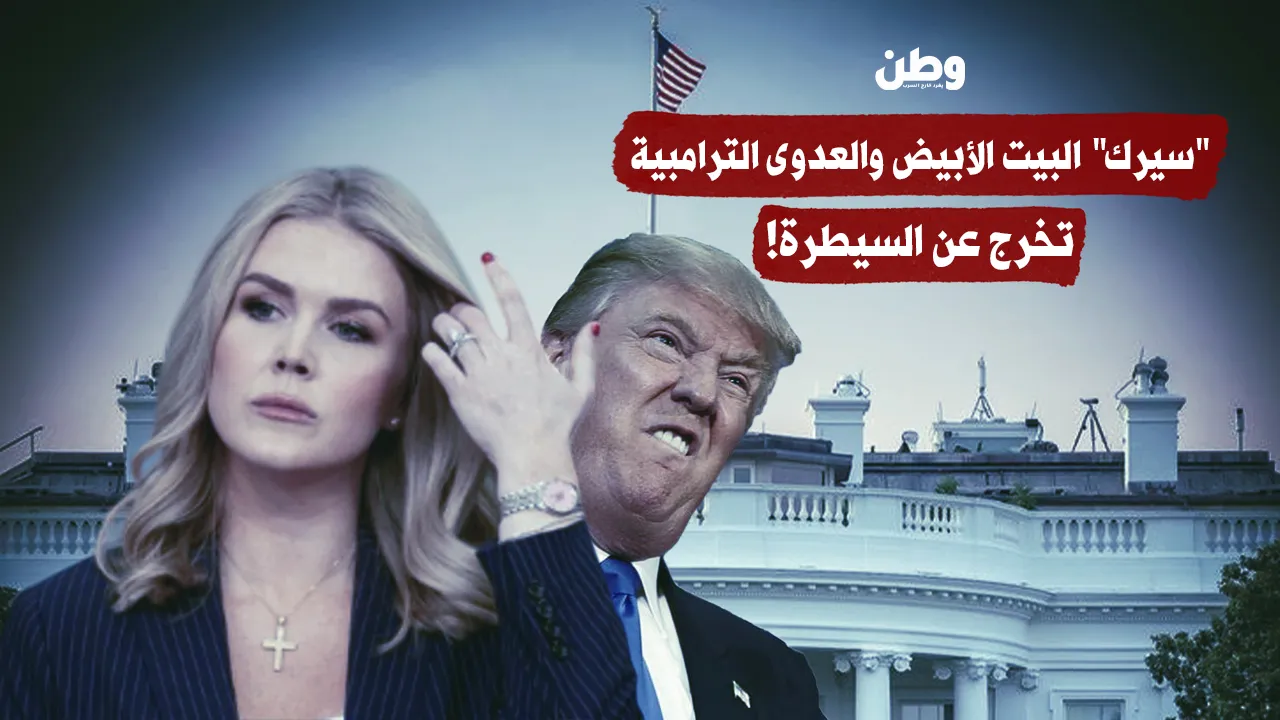 “أمك” من البيت الأبيض.. عندما تصبح السخرية أداة حكم