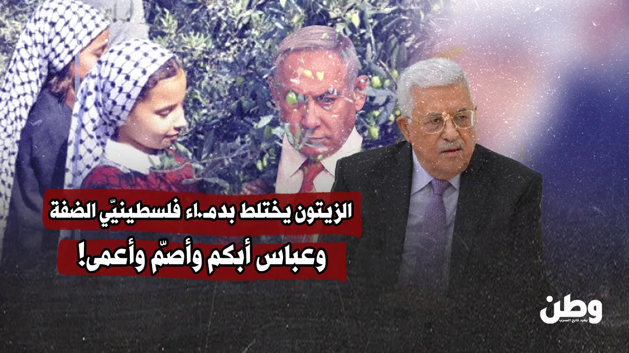  الزيتون يختلط بدماء فلسطينيّي الضفة.. وعباس أبكم وأصمّ وأعمى!