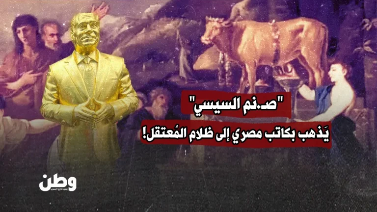 “صنم السيسي” يَذهب بكاتب مصري إلى ظلام المُعتقل!