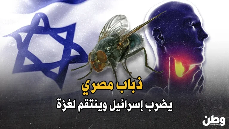 ذباب مصري يجتاح إسرائيل ويثير الذعر بين السكان
