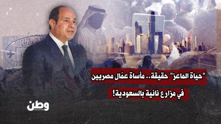 من حلم السفر إلى فخ الاستغلال: مزارعون مصريون عالقون في جحيم المزارع بالسعودية من حلم السفر إلى فخ الاستغلال: مزارعون مصريون عالقون في جحيم المزارع بالسعودية