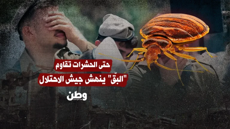 حتى الحشرات تقاوم… “البقّ” ينهش جيش الاحتلال في غزة