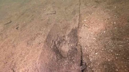 أقدم من الأهرامات! اكتشاف حضارة غامضة قد تعيد كتابة تاريخ أمريكا بالكامل. أعلن فريق من علماء الآثار عن العثور على زورق خشبي غارق في بحيرة مندوتا بولاية ويسكنسن، يعود تاريخه إلى ما يقرب من 5200 عام،