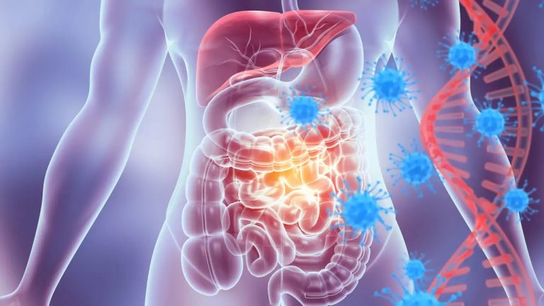 أبحاث جديدة تكشف ارتباط جهاز المناعة بتخزين الدهون ما يطرح تساؤلات حول دور الالتهاب في فشل الحميات ويعيد التفكير في طرق إنقاص الوزن