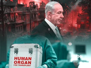 من المشرحة إلى Guinness: كلى الشهداء تتحوّل إلى رقم قياسي للاحتلال