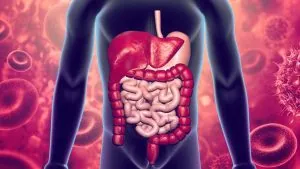 دراسة جديدة تكشف عن دور مزيج من التوابل في تعزيز امتصاص الجسم للعناصر الحيوية وتقليل مؤشرات الالتهاب ما يفتح بابًا لتغييرات صحية بسيطة