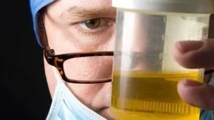 رائحة غير معتادة في البول قد تكون إنذارًا صامتًا من الكبد المتعب تفتح باب التساؤل حول ما يخبرك به جسدك قبل فوات الأوان