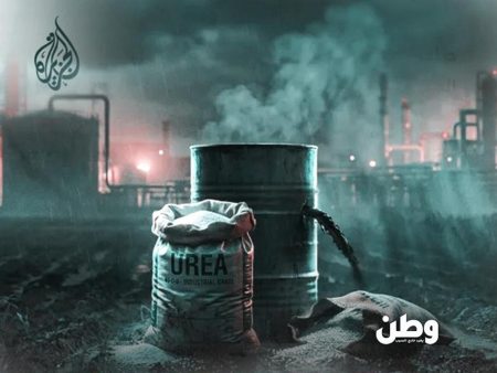 علاقة الأسمدة بالغاز وتأثير تعطل مضيق هرمز على أسعار الغذاء عالميًا.