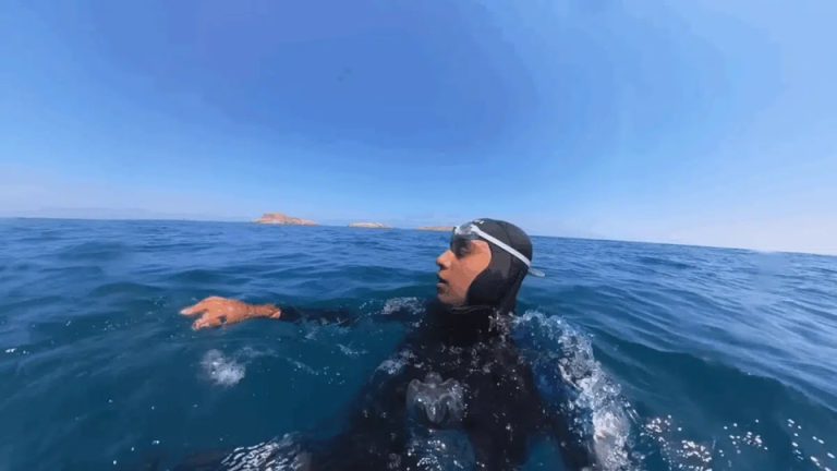 اليوتيوبر المغربي ابن نسناس في السجن بعد فيديو أكل كلب ضال أثار غضب جمعيات الرفق بالحيوان أثار يوتيوبر مغربي جدلاً واسعاً بعد نشر فيديو يطبخ فيه كلباً ضالاً ويأكله، لتتحرك جمعيات الرفق بالحيوان وتنتهي القضية بتوقيفه ومحاكمته.
