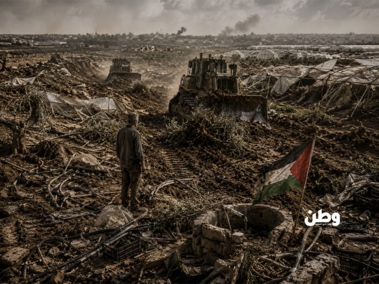 اقتلاع الزيتون وتجريف الحقول.. الوجه الآخر للحرب في غزة تدمير الزراعة في غزة